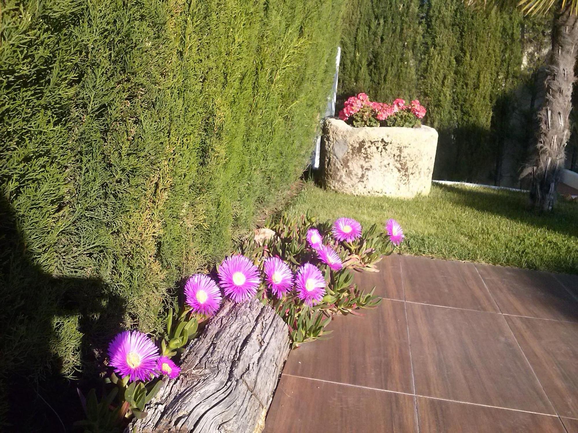 Chalet Airam Monachil Exterior foto